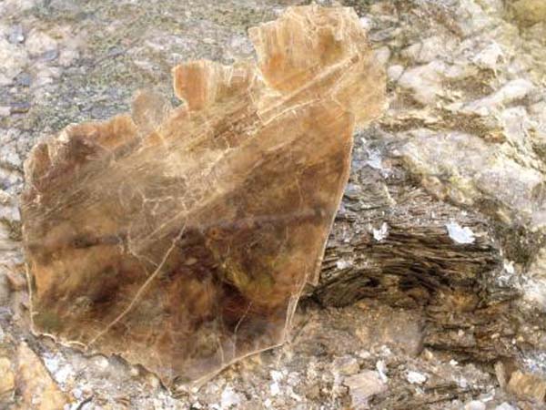 云母含鐵愈高時(shí)，顏色愈深，同時(shí)多色性和吸收性增強(qiáng)